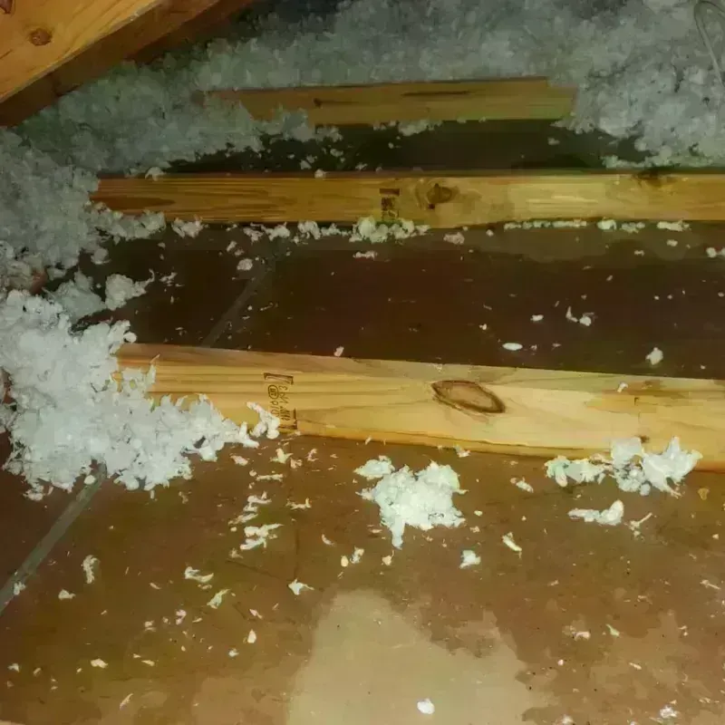 Attic Water Damage in Bay, AR