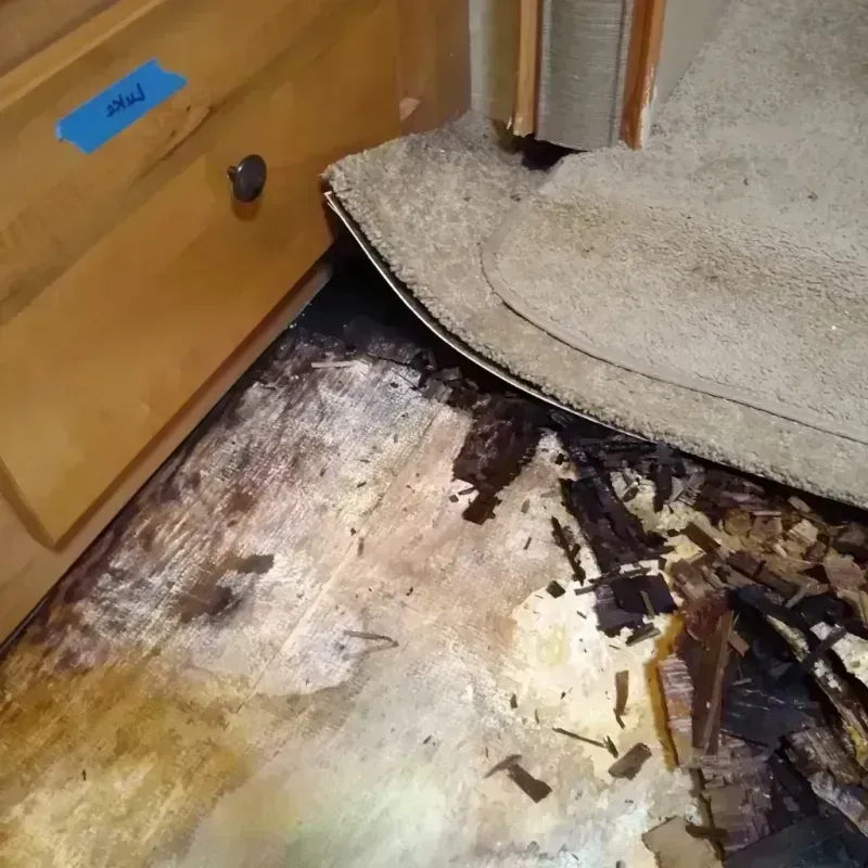 Wood Floor Water Damage in Bay, AR